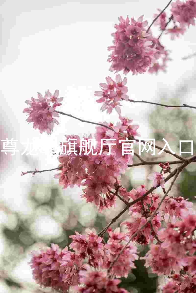 尊龙ag旗舰厅官网入口