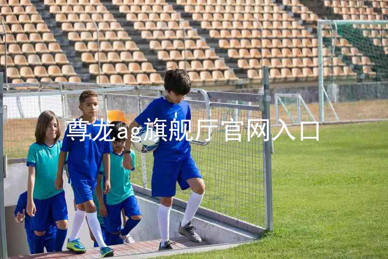 尊龙ag旗舰厅官网入口